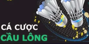 Tìm Hiểu Cách Chơi Cá Cược Cầu Lông Tại 8DAY Nhé!